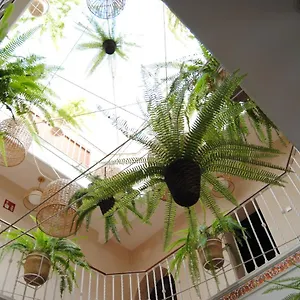  ゲストハウス Cordoba
